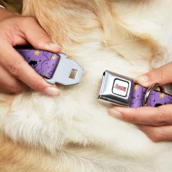 ADVENTURE TIME Title Logo Full Color White Seatbelt Buckle Collar - Adventure Time Lumpy Space Princess Expressions Stacked Lavender