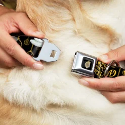 Alice in Wonderland Clock Full Color Black/Gold/White Seatbelt Buckle Collar - White Rabbit Poses LOOKING FOR WONDERLAND/Clocks Black/Golds