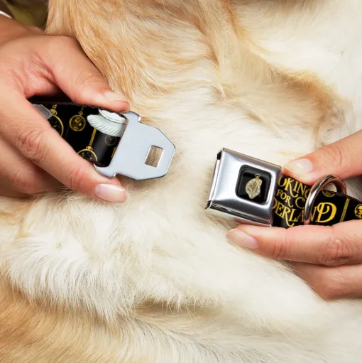 Alice in Wonderland Clock Full Color Black/Gold/White Seatbelt Buckle Collar - White Rabbit Poses LOOKING FOR WONDERLAND/Clocks Black/Golds