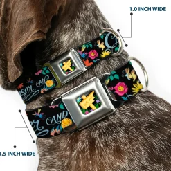 Alice in Wonderland THIS WAY Sign/Flowers Full Color Seatbelt Buckle Collar - CURIOUSER AND CURIOUSER/Flowers of Wonderland Collage