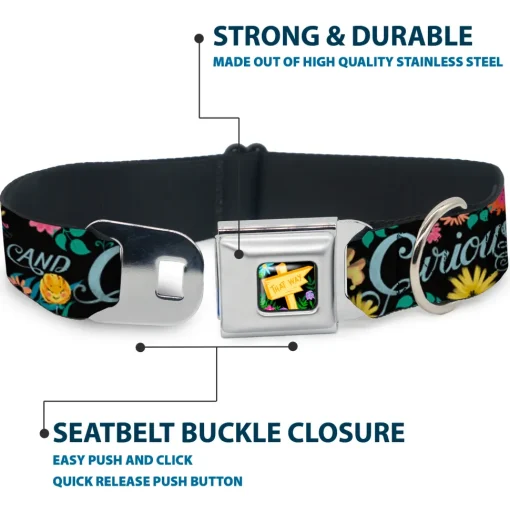 Alice in Wonderland THIS WAY Sign/Flowers Full Color Seatbelt Buckle Collar - CURIOUSER AND CURIOUSER/Flowers of Wonderland Collage