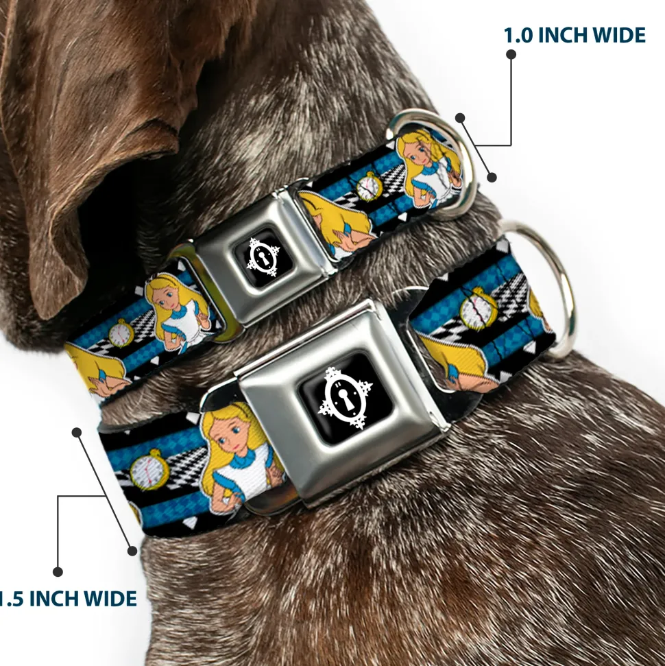 Alice Keyhole Full Color Black/White Seatbelt Buckle Collar - Alice in Wonderland Poses/Clock/Bottle Diamond/Stripe Black/White/Blues