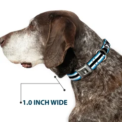 Alice Silhouette Cameo Pose Black White Seatbelt Buckle Collar - Alice in Wonderland Stripe/Bow Silhouette Blue/Black/White