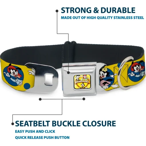 ANIMANIACS Title Logo Full Color Yellow Seatbelt Buckle Collar - Animaniacs Yakko Wakko and Dot Poses Yellow/Blue