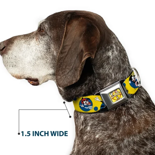 ANIMANIACS Title Logo Full Color Yellow Seatbelt Buckle Collar - Animaniacs Yakko Wakko and Dot Poses Yellow/Blue
