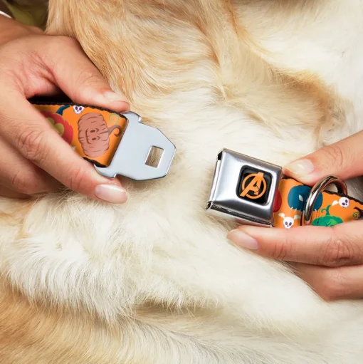 Avengers A Logo Full Color Black/Orange Seatbelt Buckle Collar - Marvel 9-Avengers Halloween Jack-O-Lantern Pumpkin Icons Scattered Orange