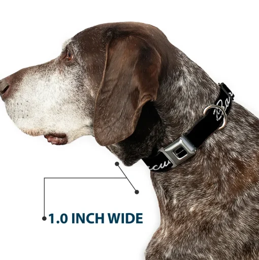BARRACUDA Script Logo Full Color Black/White Seatbelt Buckle Collar - BARRACUDA Script Logo Black/Silver