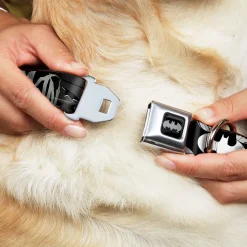 Batman Black Silver Seatbelt Buckle Collar - BATMAN w/Bat Signals & Flying Bats Black/White