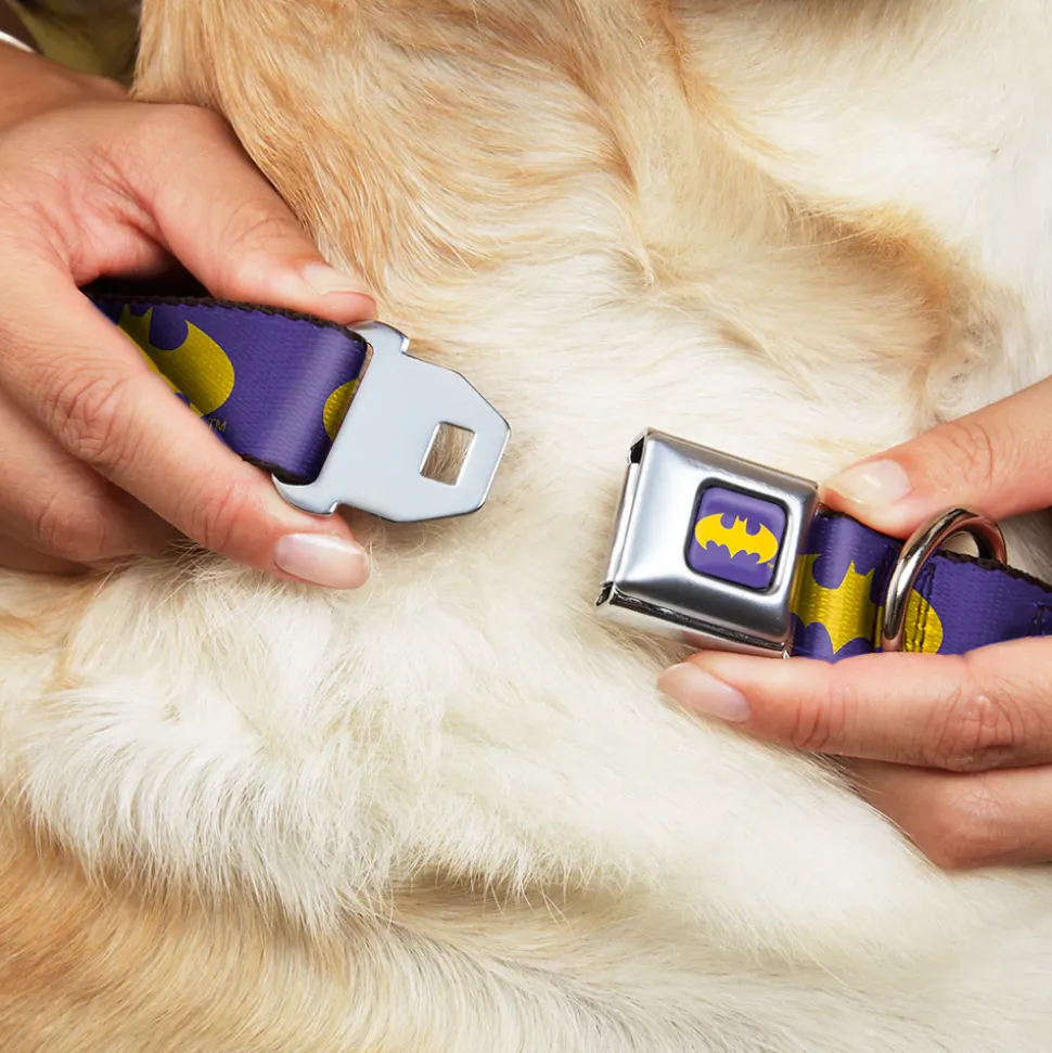 Batman Signal Full Color Purple Yellow Seatbelt Buckle Collar - Batman Signal Purple/Yellow