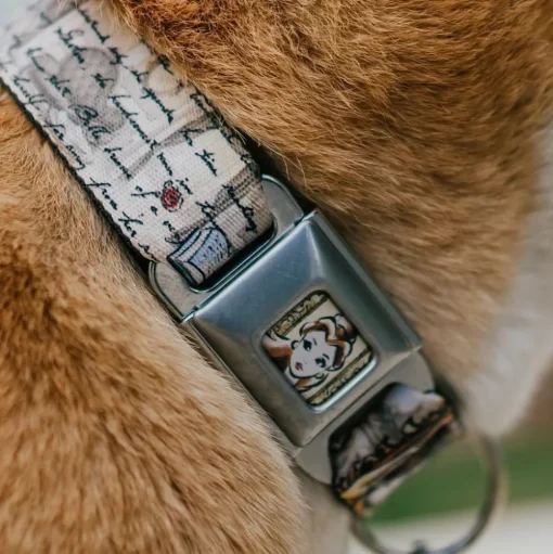 Belle Face Sketch Full Color Light Yellow Seatbelt Buckle Collar - Belle Sketch Poses/Story Script