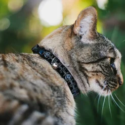 Breakaway Cat Collar with Bell - Star Wars Death Star and TIE Fighters Black/Gray