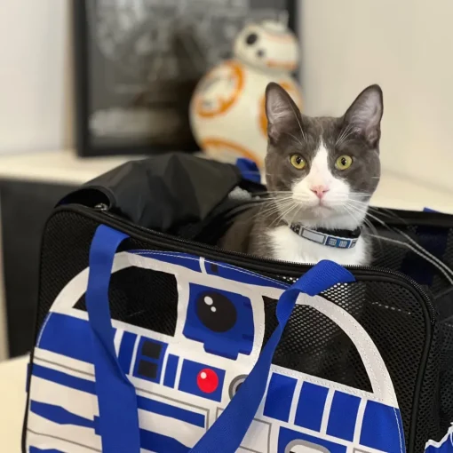 Buckle-Down Pet Carrier - Star Wars R2-D2