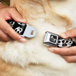 Buckle-Down Seatbelt Buckle Dog Collar - Brass Knuckles Black/White
