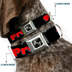 Buckle-Down Seatbelt Buckle Dog Collar - 99 PROBLEMS Black/Red