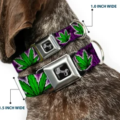 Buckle-Down Seatbelt Buckle Dog Collar - Marijuana Haze Purple