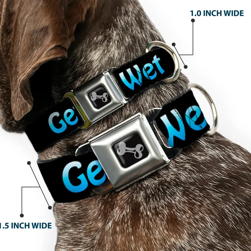 Buckle-Down Seatbelt Buckle Dog Collar - GET WET Black/Baby Blue