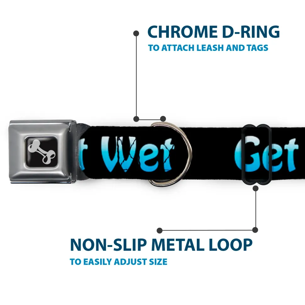 Buckle-Down Seatbelt Buckle Dog Collar - GET WET Black/Baby Blue