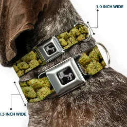 Buckle-Down Seatbelt Buckle Dog Collar - Vivid Marijuana Nugs2 Stacked