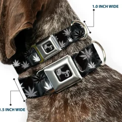 Buckle-Down Seatbelt Buckle Dog Collar - Pot Leaves/Smoke Black/Gray/White