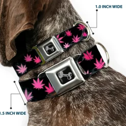 Buckle-Down Seatbelt Buckle Dog Collar - Pot Leaves/Smoke Black/Pink/White