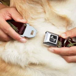 Buckle-Down Seatbelt Buckle Dog Collar - Revolvers Purple/Green