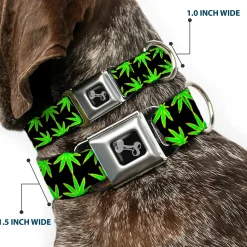 Buckle-Down Seatbelt Buckle Dog Collar - Marijuana Reflection Black/Yellow/Green