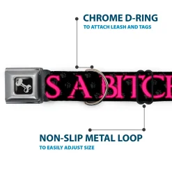 Buckle-Down Seatbelt Buckle Dog Collar - ONE OF US IS A BITCH Crown/Paws Black/Gray/Pink