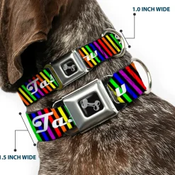 Buckle-Down Seatbelt Buckle Dog Collar - TASTE MY RAINBOW Black/Multi Color