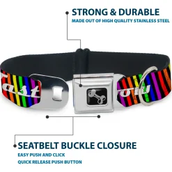 Buckle-Down Seatbelt Buckle Dog Collar - TASTE MY RAINBOW Black/Multi Color