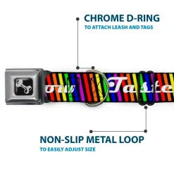 Buckle-Down Seatbelt Buckle Dog Collar - TASTE MY RAINBOW Black/Multi Color