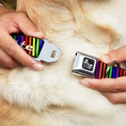 Buckle-Down Seatbelt Buckle Dog Collar - TASTE MY RAINBOW Black/Multi Color
