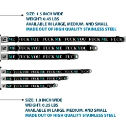 Buckle-Down Seatbelt Buckle Dog Collar - FUCK YOU/FUCK ME Black/White/Blue