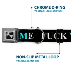Buckle-Down Seatbelt Buckle Dog Collar - FUCK YOU/FUCK ME Black/White/Blue