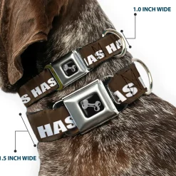 Buckle-Down Seatbelt Buckle Dog Collar - ONE OF US HAS HAIRY LEGS/Fur Tan/White
