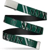 Chrome Buckle Web Belt - Harry Potter SLYTHERIN Stripe Green/Gray Webbing