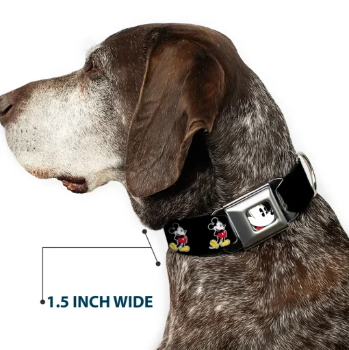 Classic Mickey Mouse Face CLOSE-UP Full Color Seatbelt Buckle Collar - Classic Mickey Mouse Pose Black