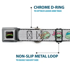 Classic TEENAGE MUTANT NINJA TURTLES Logo Seatbelt Buckle Collar - Teenage Mutant Ninja Turtles Expressions Gray