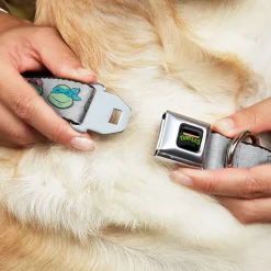 Classic TEENAGE MUTANT NINJA TURTLES Logo Seatbelt Buckle Collar - Teenage Mutant Ninja Turtles Expressions Gray