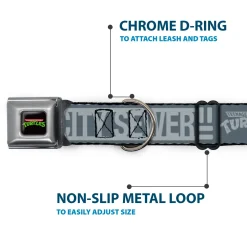 Classic TEENAGE MUTANT NINJA TURTLES Logo Seatbelt Buckle Collar - TEENAGE MUTANT NINJA TURTLES CITY SEWER Title Logo Grays