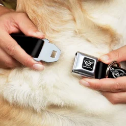 Corvette Seatbelt Buckle Collar - Corvette Black/Silver REPEAT