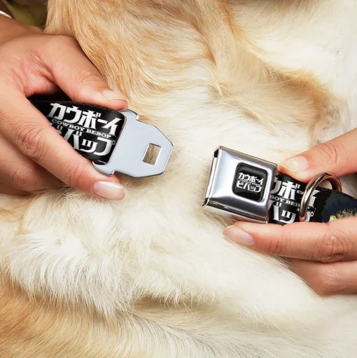 COWBOY BEBOP Title Logo Full Color Black/White Seatbelt Buckle Collar - COWBOY BEBOP Spike and Vicious Pose and Title Logo Black/Blues