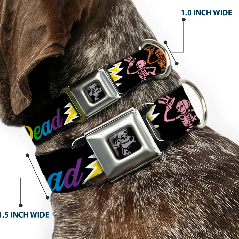 Dancing Bear Black/Silver Seatbelt Buckle Collar - Grateful Dead Script w/Bears & Skeletons Black/Multi Color