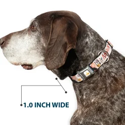 Disney Princess Crown Full Color Golds Seatbelt Buckle Collar - Moana with Pua and Hei Hei Sail Pose with Script and Flowers Beige/Orange