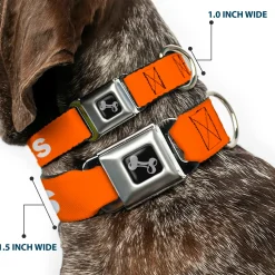 Dog Bone Black/Silver Seatbelt Buckle Collar - Pet Quote NO DOGS Orange/White
