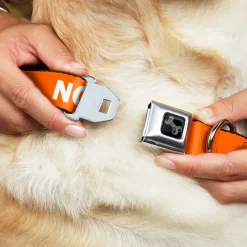 Dog Bone Black/Silver Seatbelt Buckle Collar - Pet Quote NO DOGS Orange/White
