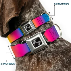 Dog Bone Black/Silver Seatbelt Buckle Collar - Rainbow Ombre