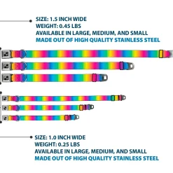 Dog Bone Black/Silver Seatbelt Buckle Collar - Rainbow Ombre