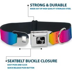 Dog Bone Black/Silver Seatbelt Buckle Collar - Rainbow Ombre