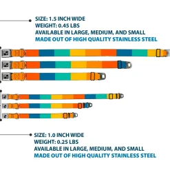 Dog Bone Black/Silver Seatbelt Buckle Collar - Summer Essentials Color Block 2