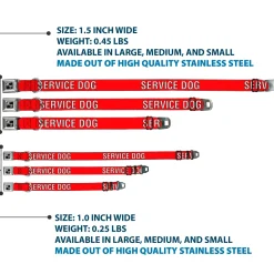 Dog Bone Black/Silver Seatbelt Buckle Collar - SERVICE DOG Red/Black/White